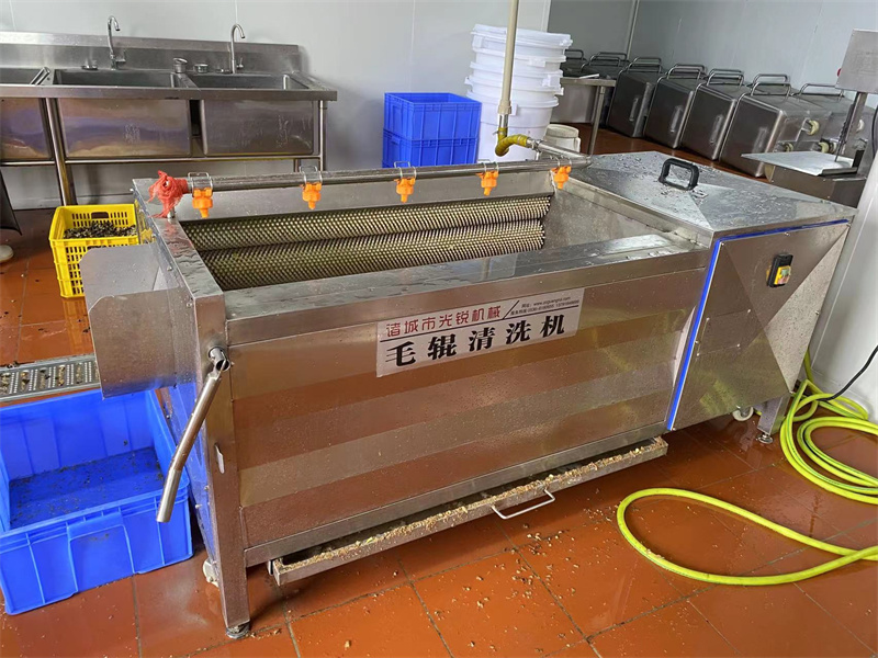 姜毛輥清洗機