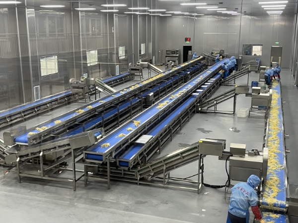 傳送帶分揀臺(tái)