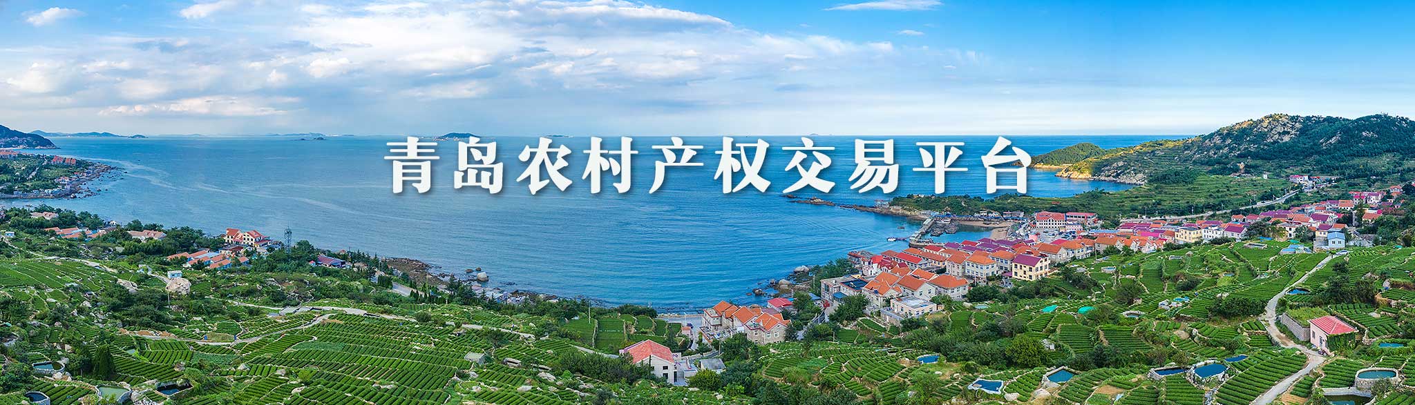 青島農(nóng)村產(chǎn)權(quán)交易平臺
